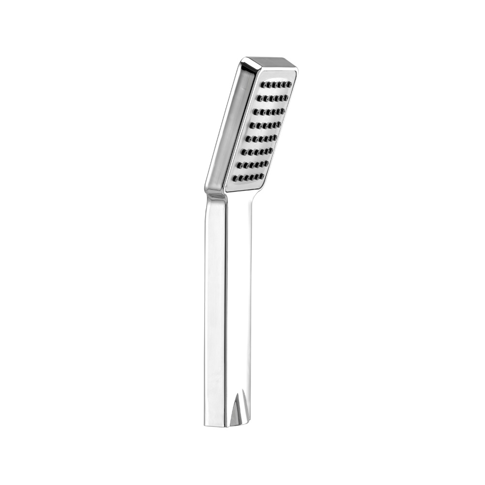 AF900665CHAB 665 HANDSHOWER 230MM ABS 1.5M SSHOSEHOOK