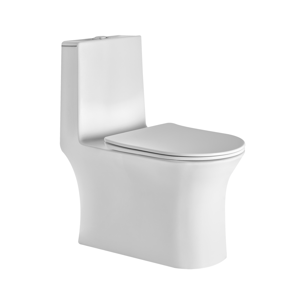 ASOP5005TWSD I5005 ONE PIECE TOILET SLIM DUROPLAST TW