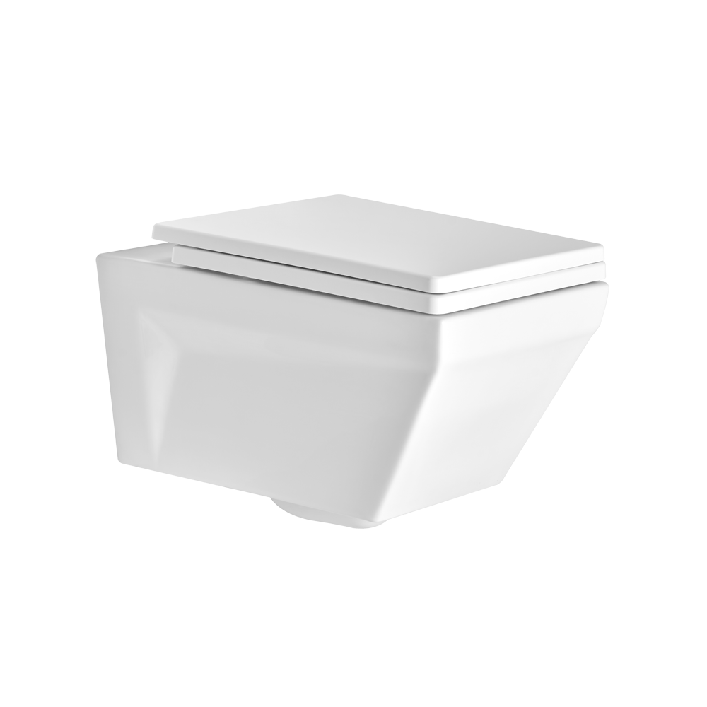 ASWH5005TWDS I5005 WALL HUNG TOILET DUROPLAST TW