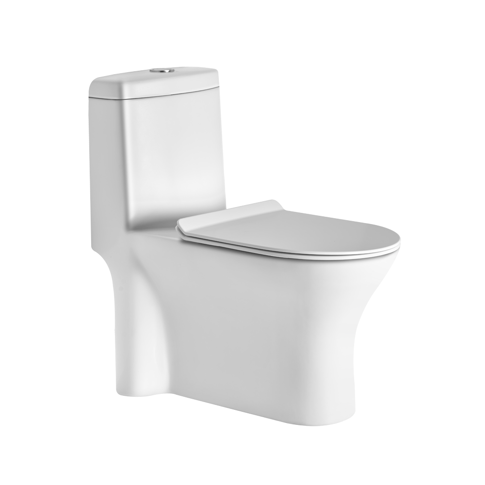 ASOP3001TWSP P3001 ONE PIECE TOILET SLIM PP SOFT TW