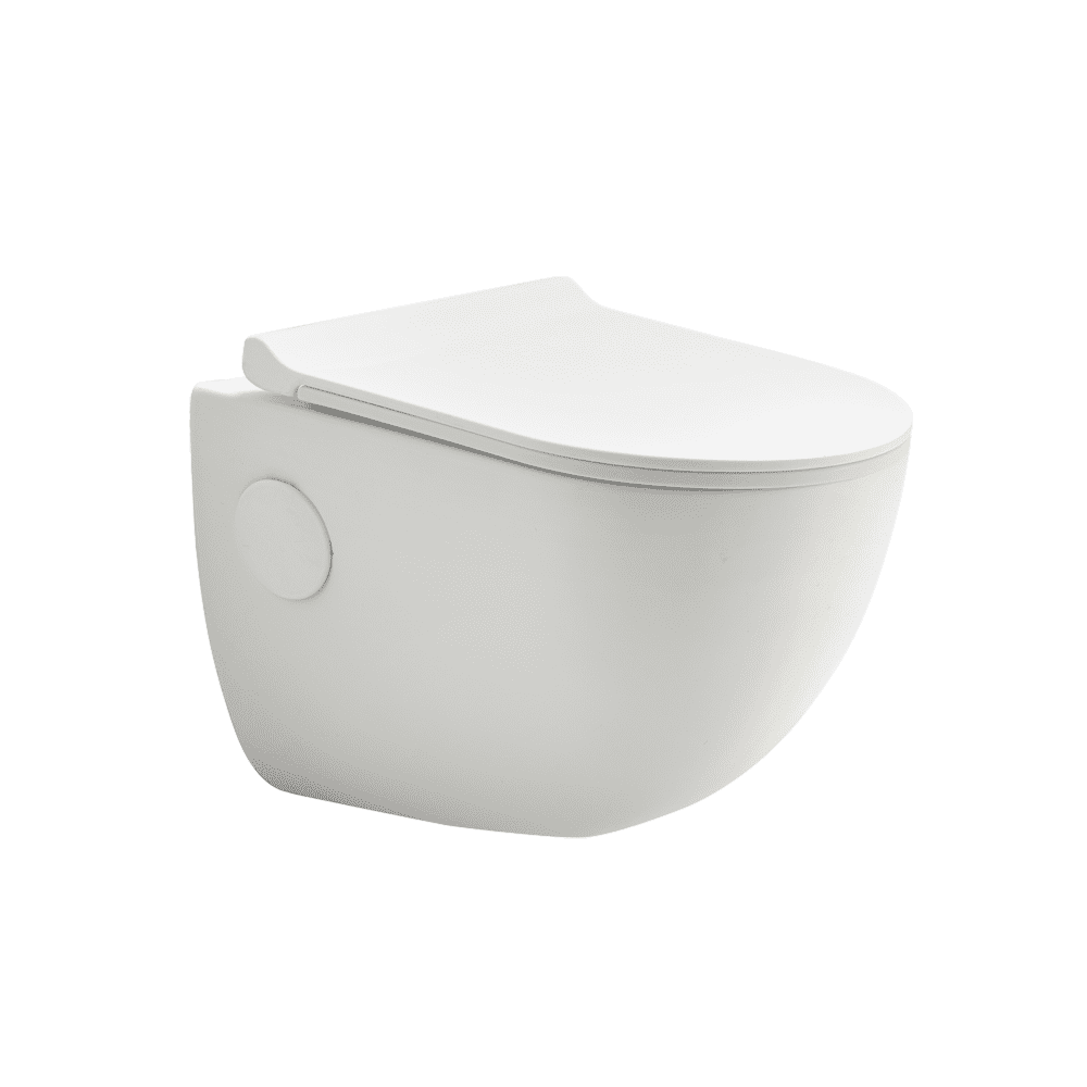 ASWH3001TWSP P3001 WALL HUNG TOILET SLIM PP SOFT TW