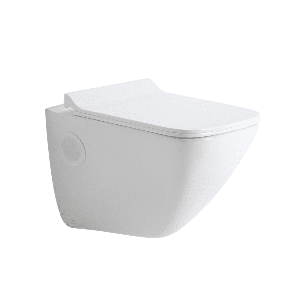 ASWH3002TWSP P3002 WALL HUNG TOILET SLIM PP SOFT TW