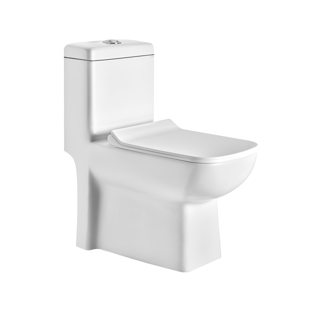 ASOP3003TWSP P3003 ONE PIECE TOILET SLIM PP SOFT TW