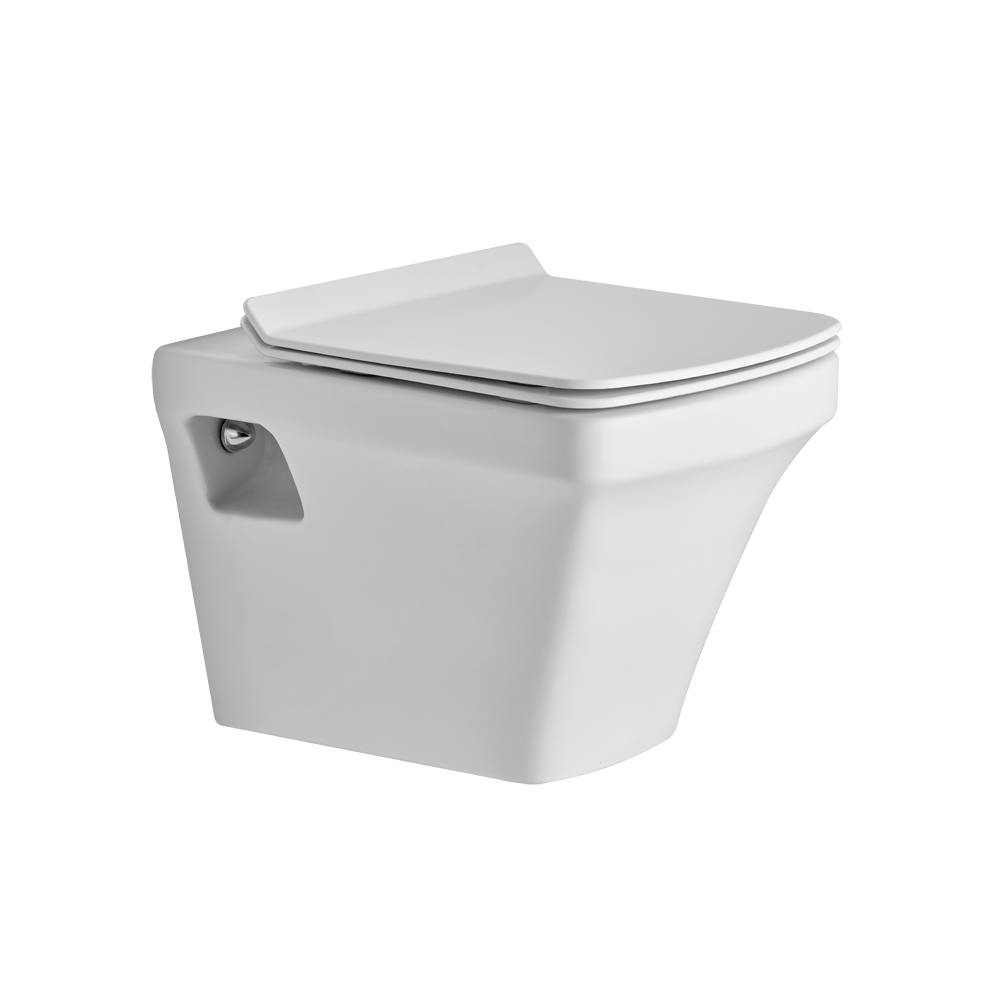 ASWH3003TWSD P3003 WALL HUNG TOILET SLIM DUROPLAST TW