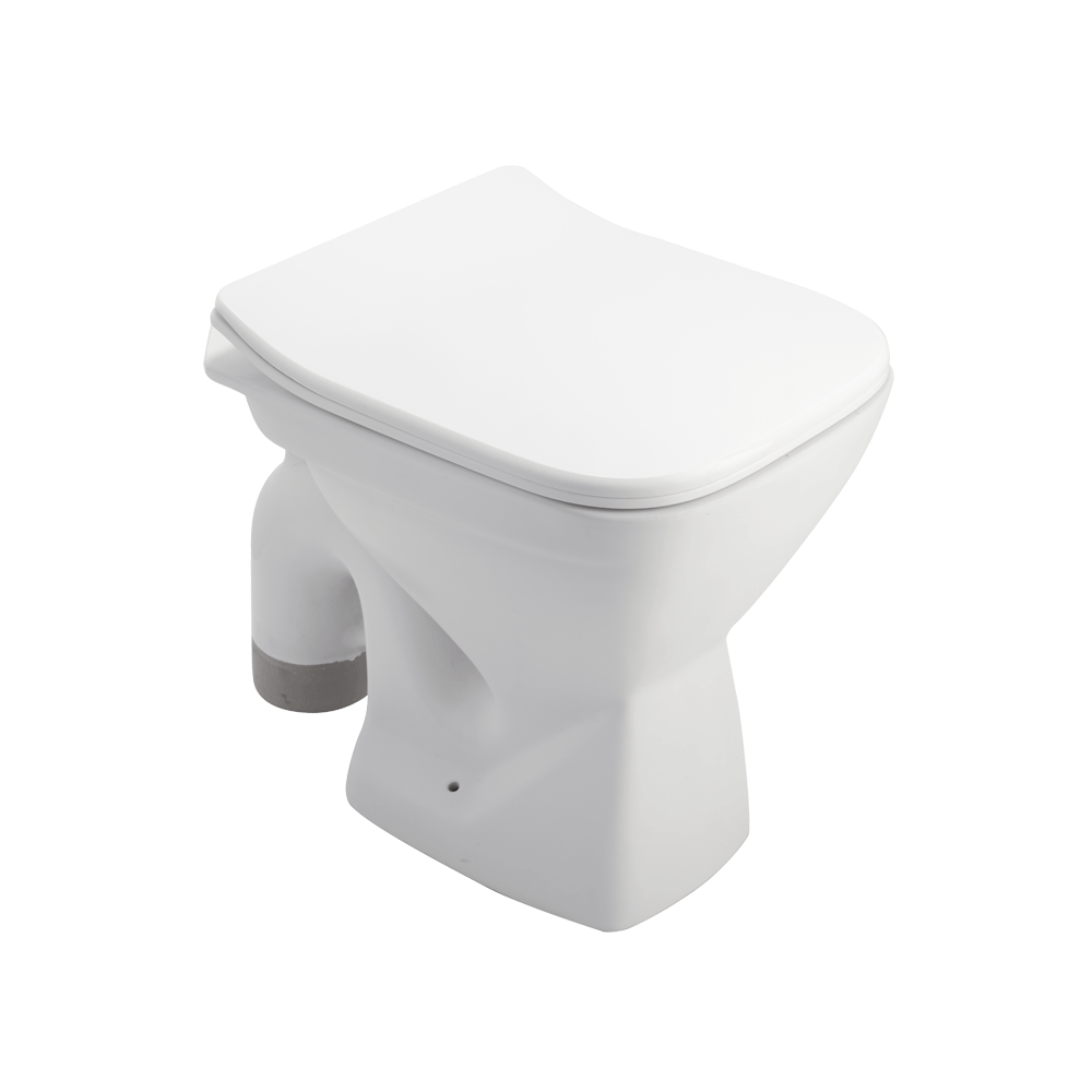 ASFM3006TWSN P3006 FLOOR MOUNT TOILET SLIM PP TW