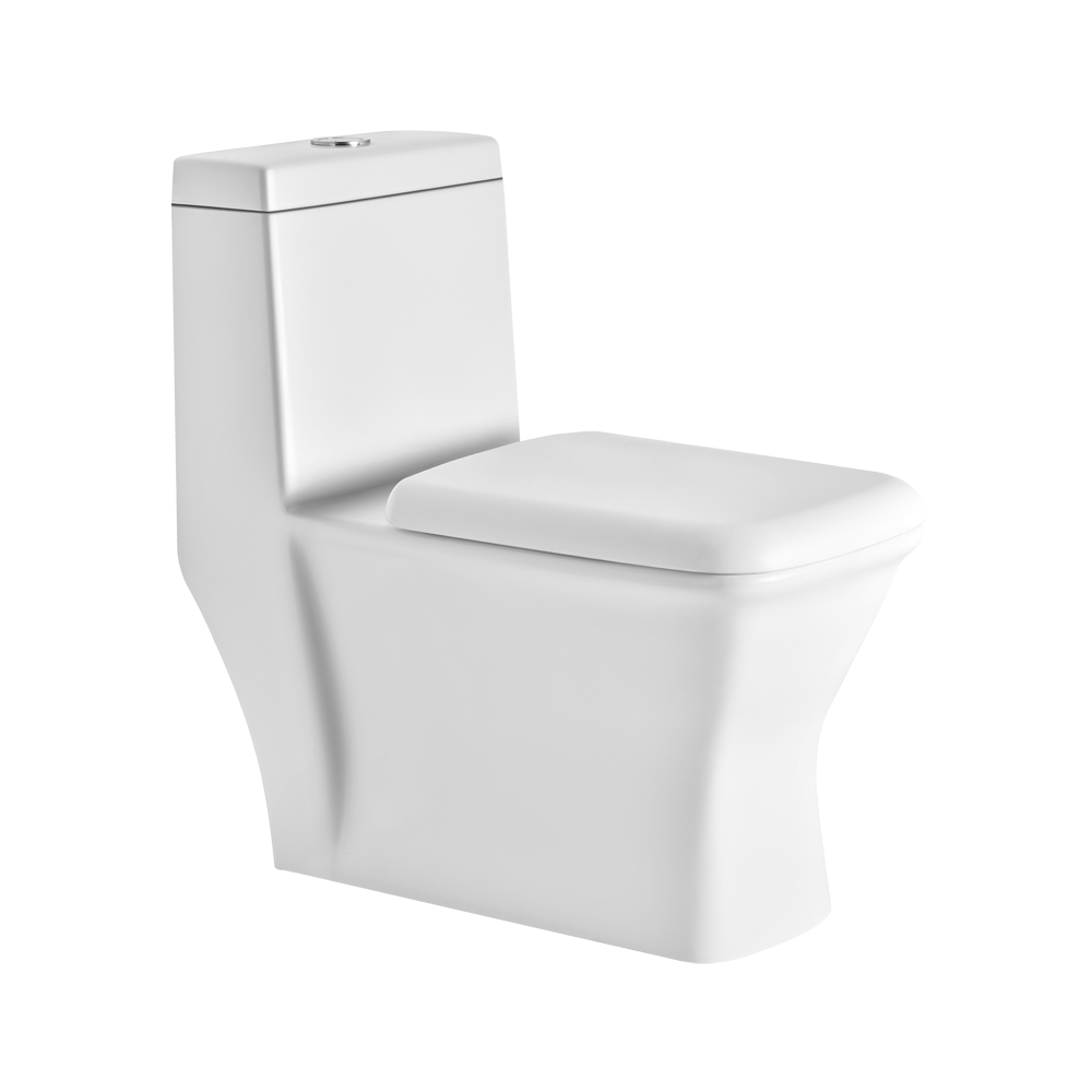 ASOP3010TWPS P3010 ONE PIECE TOILET PP SOFT CLOSE TW