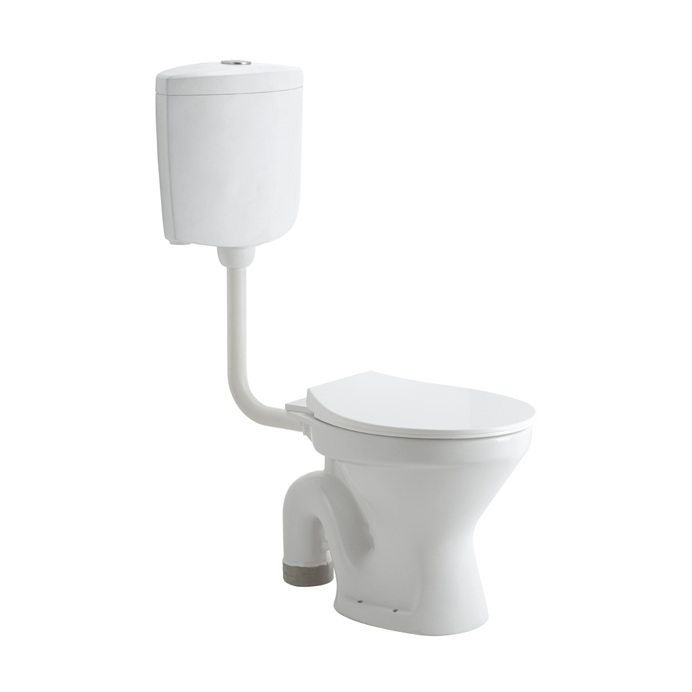 ASFM1005TWSN G1005 FLOOR MOUNT TOILET SLIM PP TW