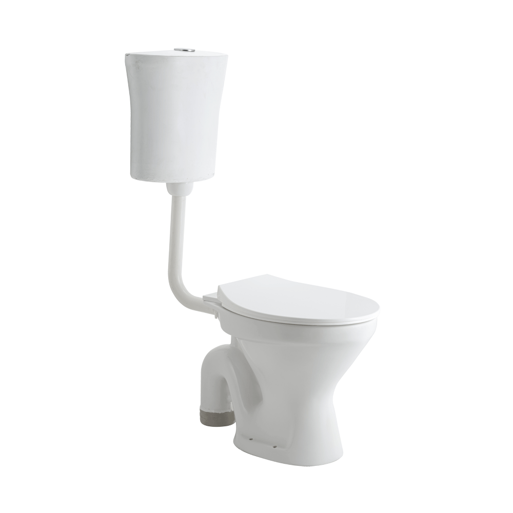 ASFM1002TWSN G1002 FLOOR MOUNT TOILET SLIM PP TW