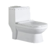 G1001 ONE PIECE TOILET SLIM PP SOFT TW