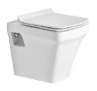 P WALL HUNG TOILET WITH SP SC TW 3