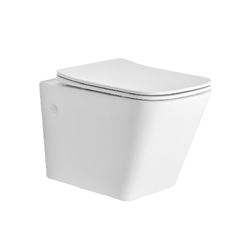 [ASWH5004TWSD] ASWH5004TWSD I5004 WALL HUNG TOILET SLIM DUROPLAST TW