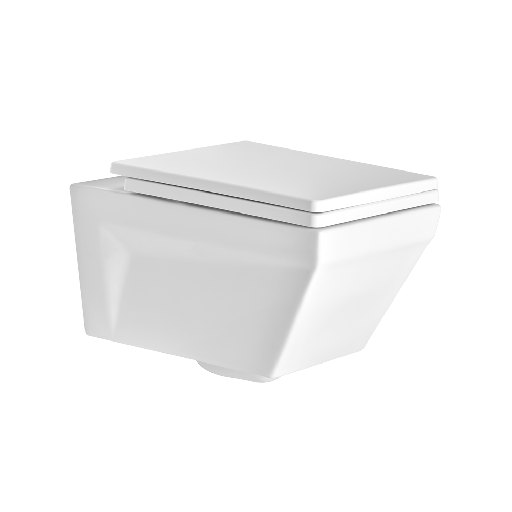 [ASWH5005TWDS] ASWH5005TWDS I5005 WALL HUNG TOILET DUROPLAST TW