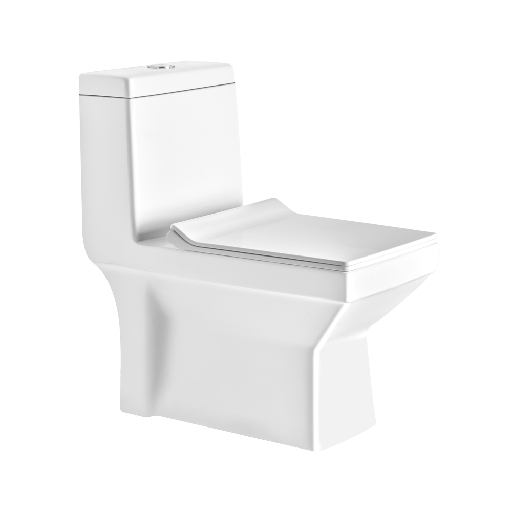 [ASOP3008TWSP] ASOP3008TWSP P3008 ONE PIECE TOILET SLIM PP SOFT TW
