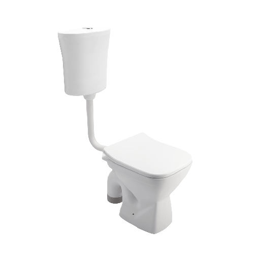 [ASFM3009TWSN] ASFM3009TWSN P3009 FLOOR MOUNT TOILET SLIM PP TW