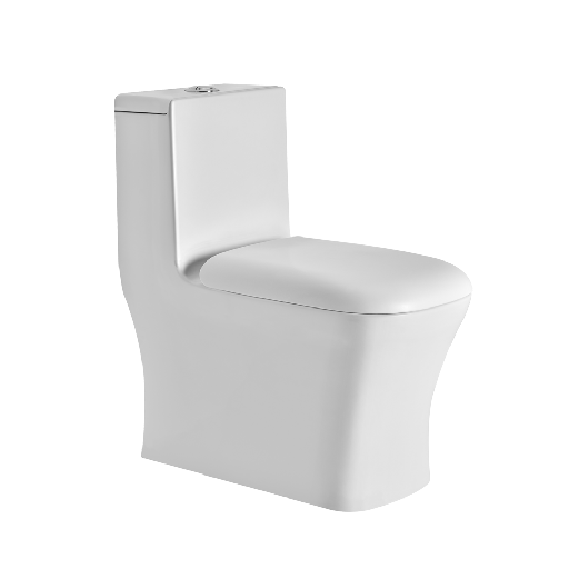 [ASOP5006TWPS] ASOP5006TWPS I5006 ONE PIECE TOILET PP SOFT CLOSE TW