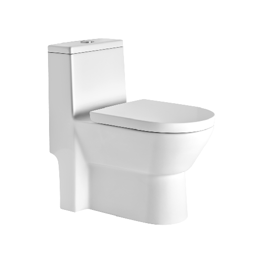 [ASOP5003TWPS] I5003 ONE PIECE TOILET PP SOFT CLOSE TW